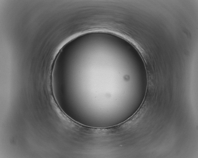 X0000111591534200907231204