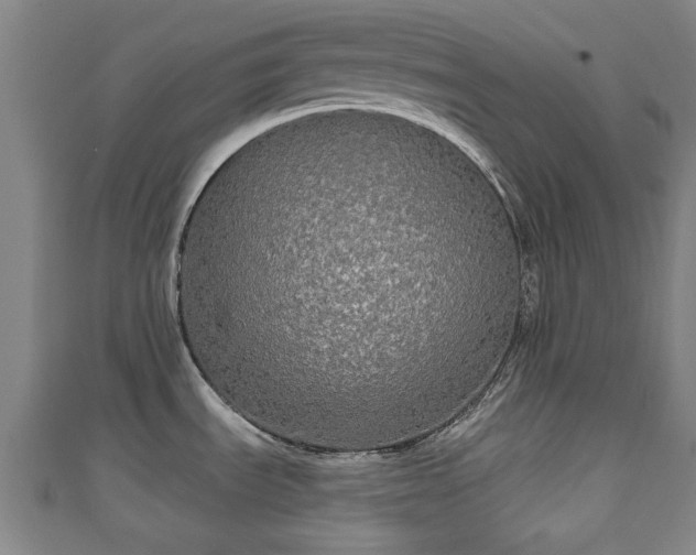 X0000111591535200907231204