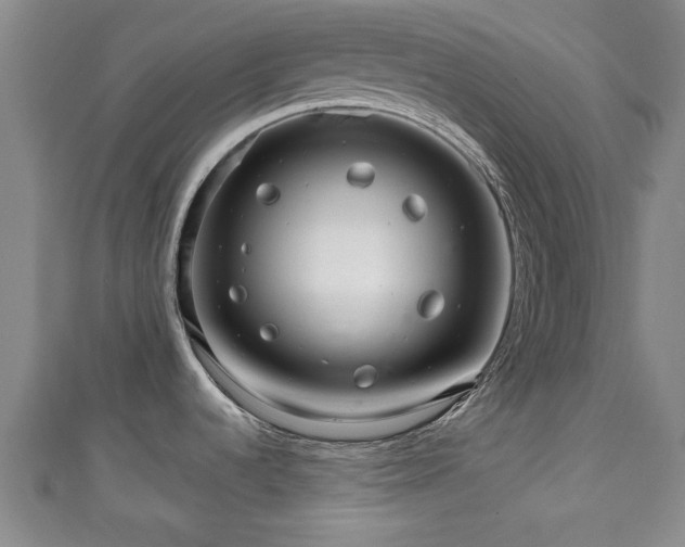 X0000111591536200907231204