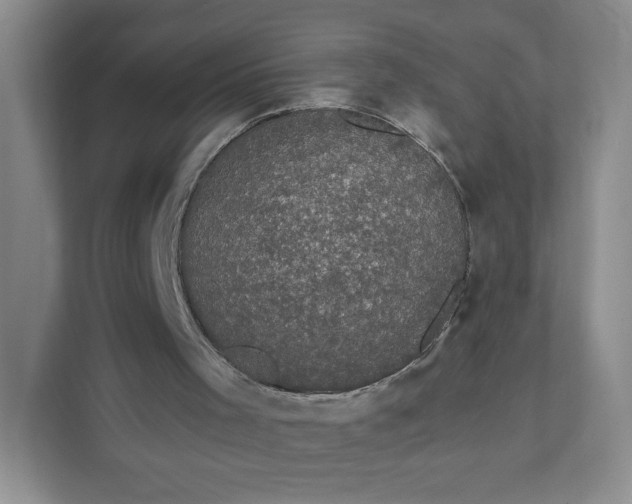 X0000111590001200907301436