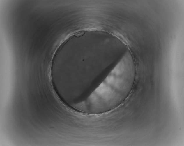 X0000111590002200907301436