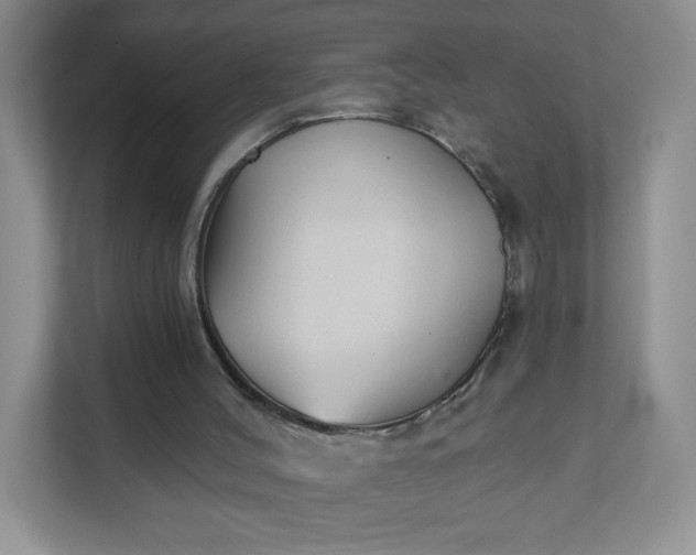 X0000111590004200907301436