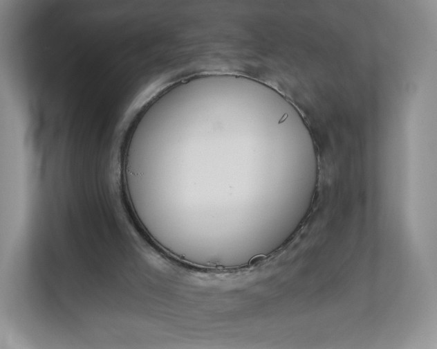 X0000111590005200907301436