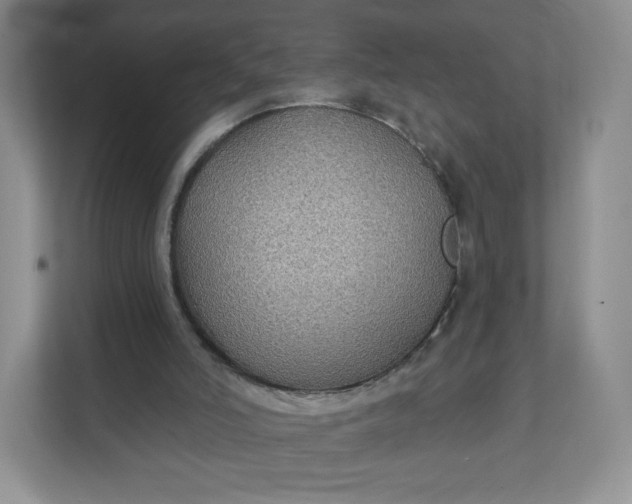 X0000111590006200907301436