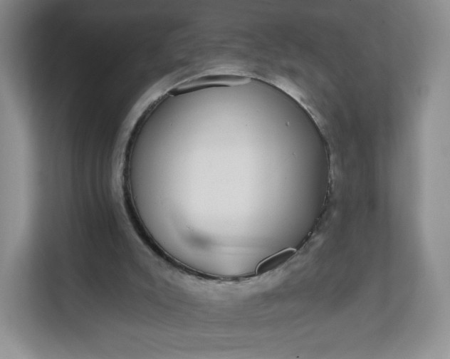 X0000111590007200907301436