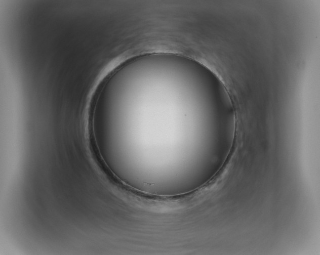 X0000111590008200907301436