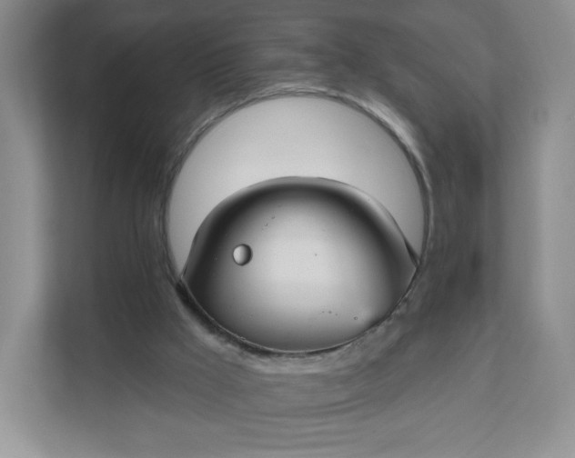 X0000111590009200907301436