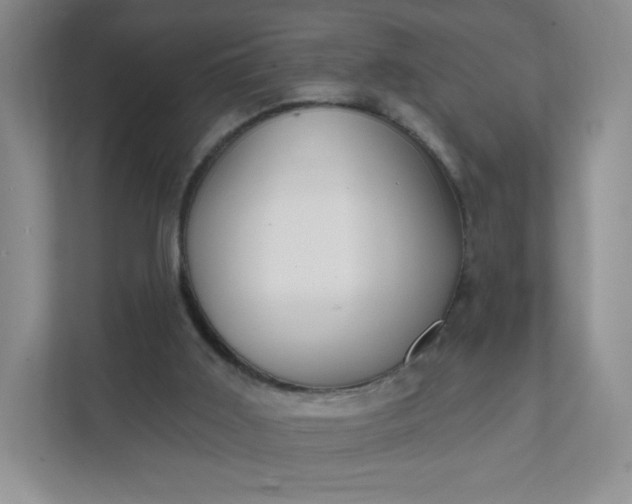 X0000111590011200907301435