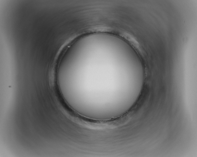 X0000111590012200907301435