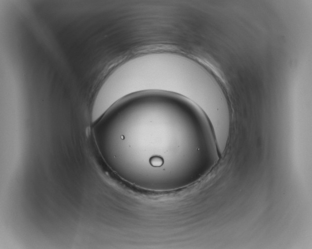 X0000111590013200907301435