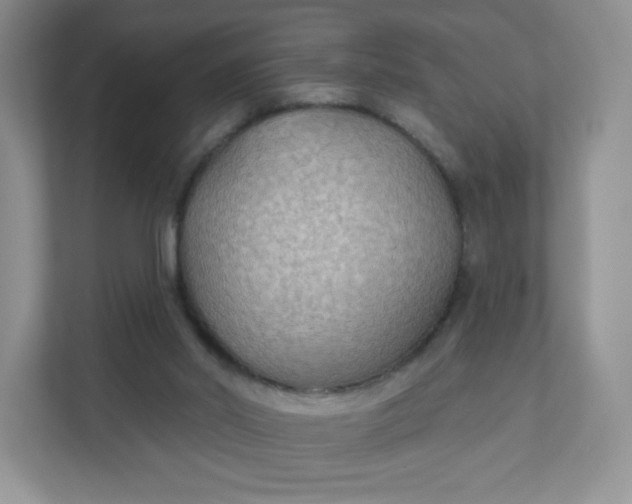 X0000111590014200907301435