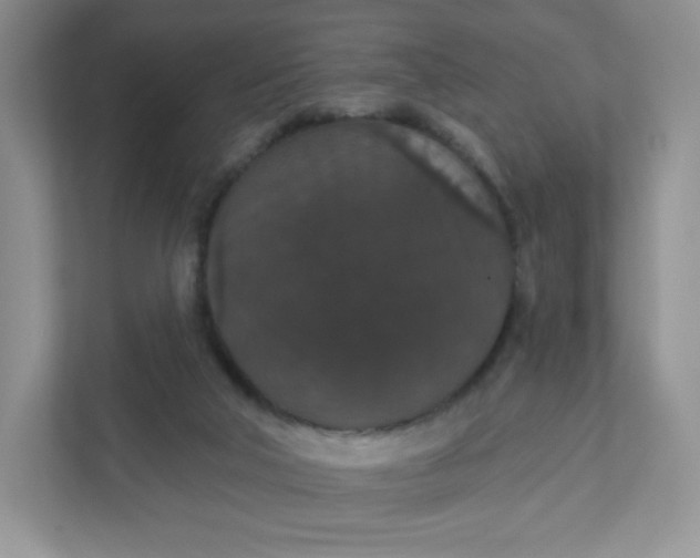 X0000111590018200907301435