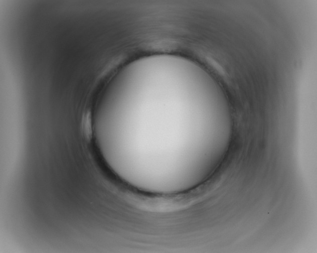 X0000111590020200907301435