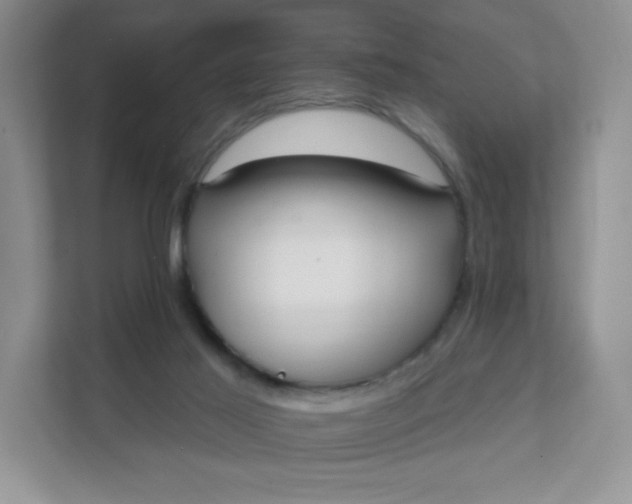 X0000111590021200907301435