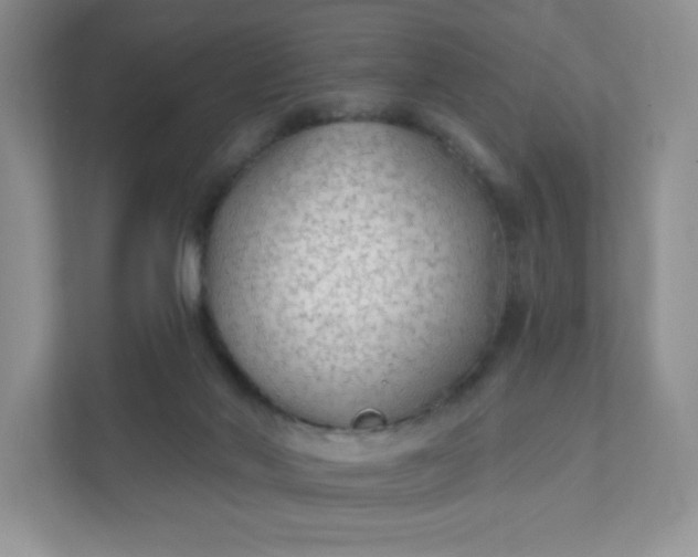 X0000111590022200907301435