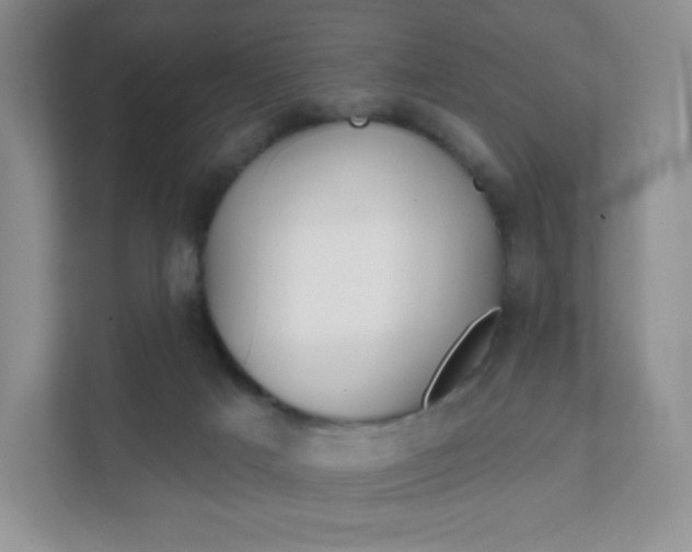 X0000111590025200907301435