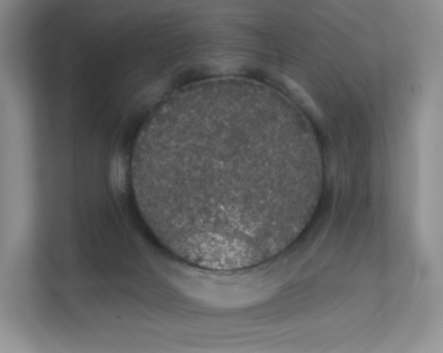 X0000111590026200907301435