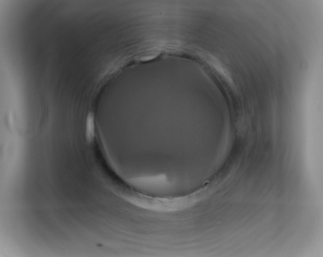 X0000111590027200907301435