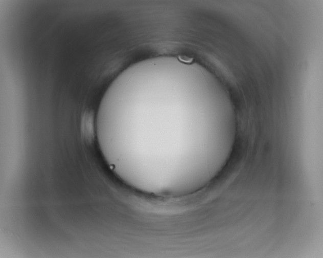 X0000111590028200907301435