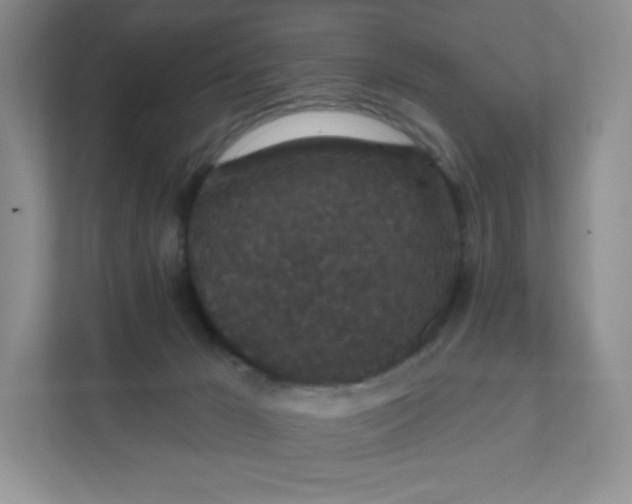 X0000111590029200907301435