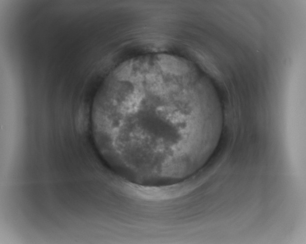 X0000111590030200907301435