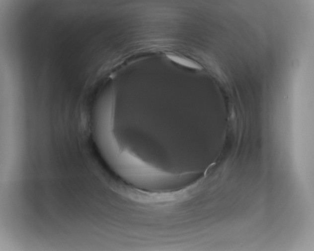 X0000111590031200907301435