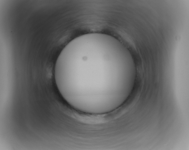 X0000111590032200907301435