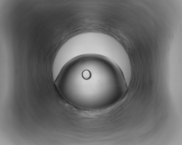 X0000111590033200907301435