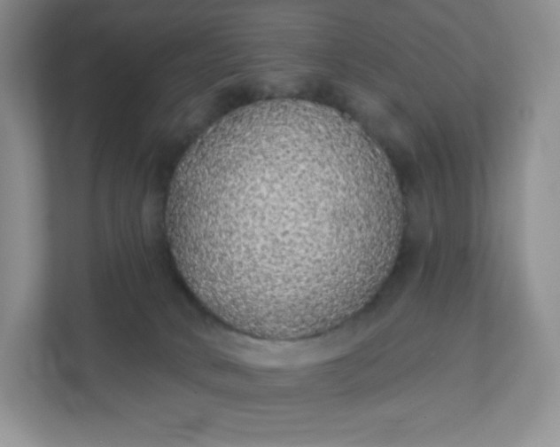 X0000111590034200907301435