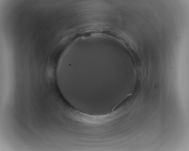 X0000111590035200907301435