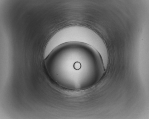 X0000111590036200907301435