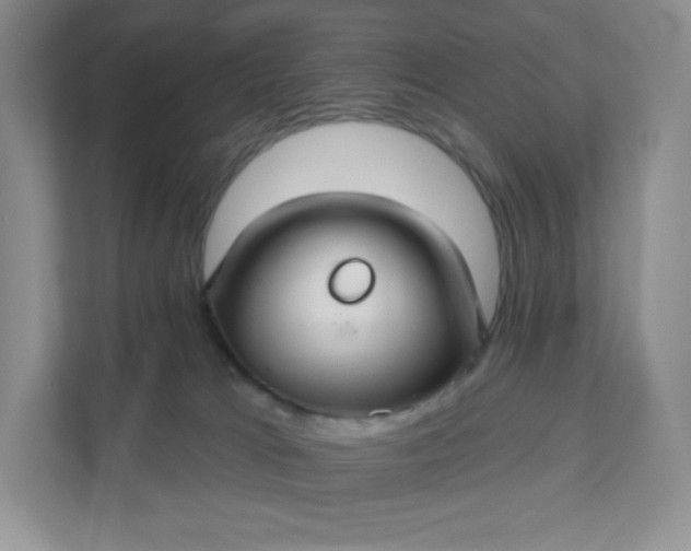 X0000111590037200907301435