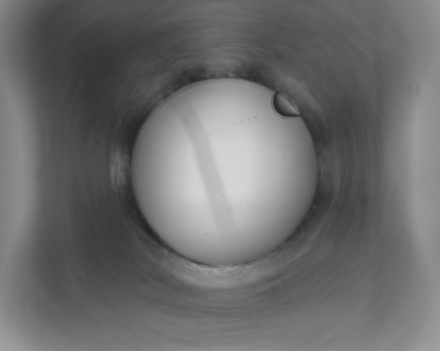 X0000111590038200907301435