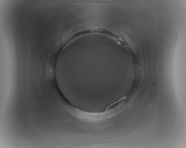 X0000111590039200907301435