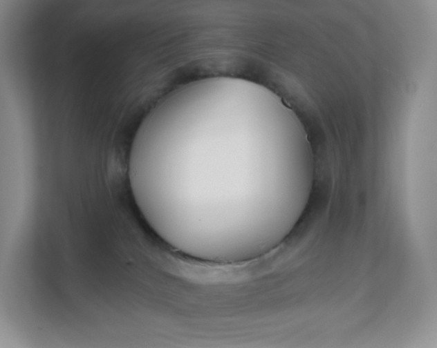 X0000111590040200907301435