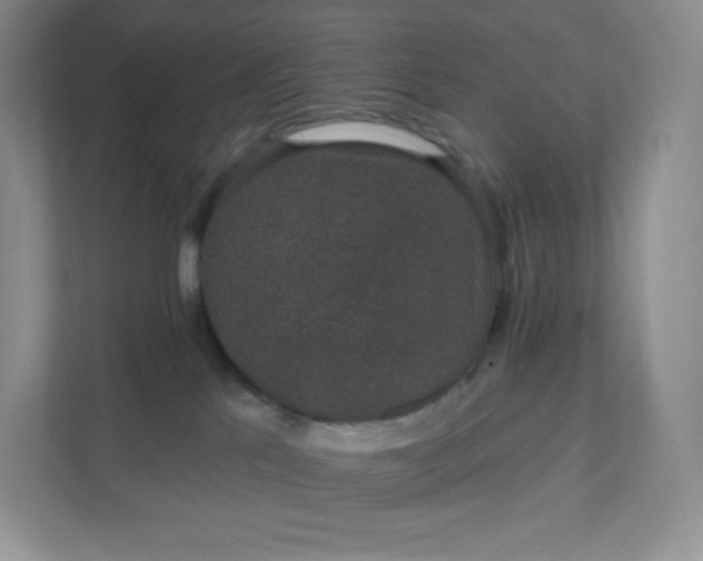 X0000111590041200907301435