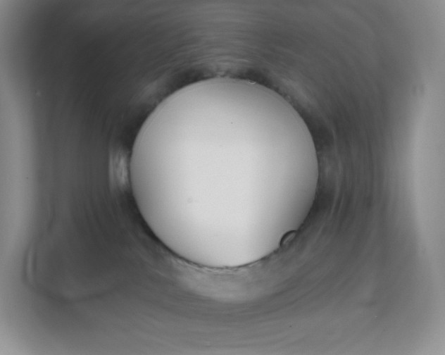 X0000111590042200907301435