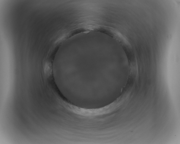 X0000111590043200907301435