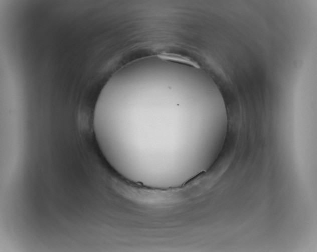 X0000111590044200907301435