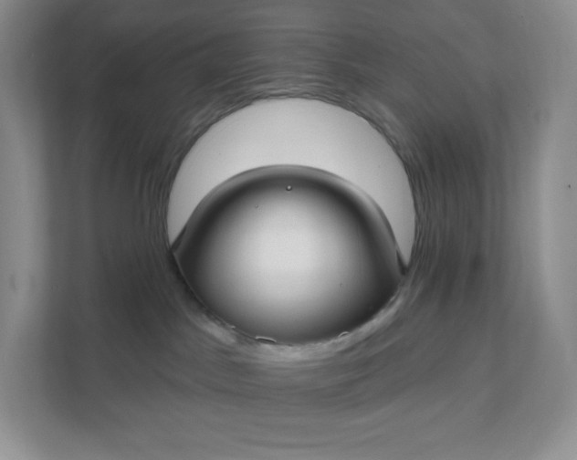 X0000111590045200907301435