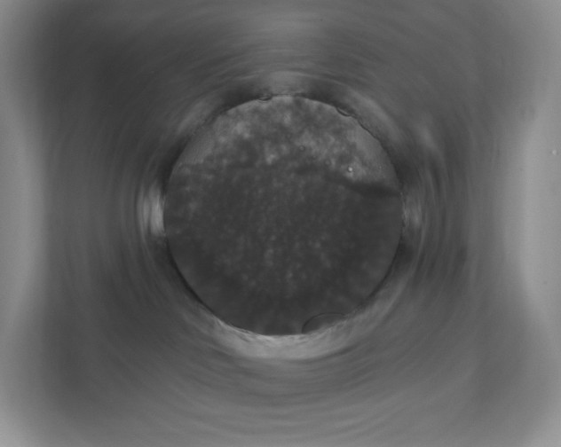 X0000111590046200907301435