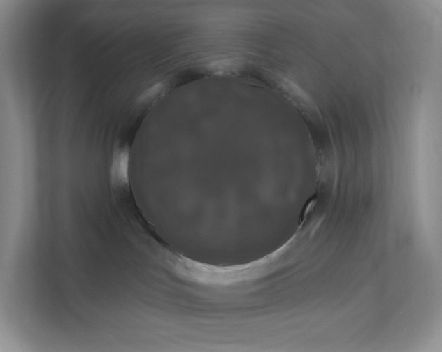 X0000111590047200907301435