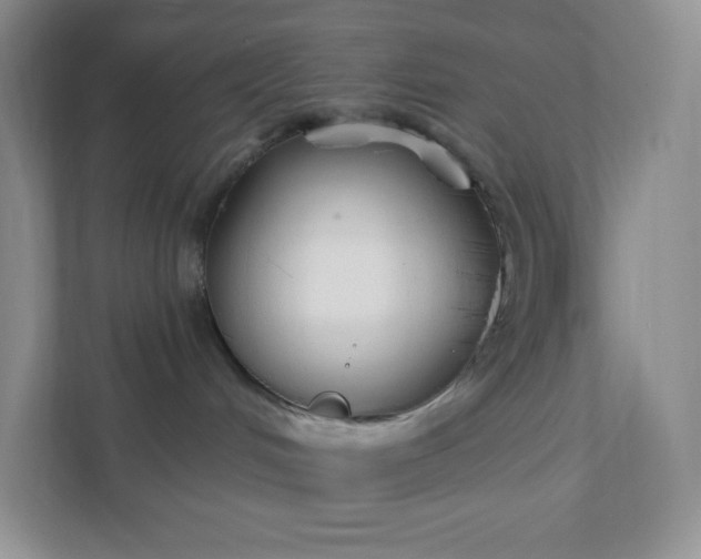 X0000111590048200907301435