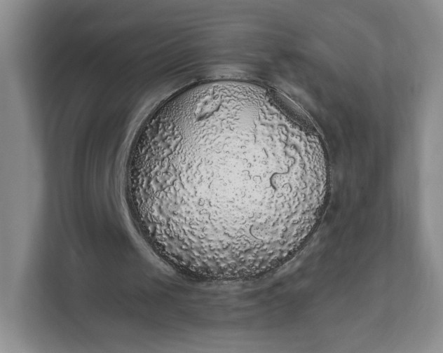 X0000111590049200907301434