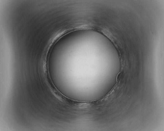 X0000111590050200907301434