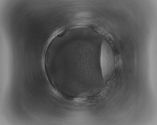 X0000111590051200907301434