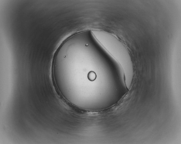 X0000111590052200907301434