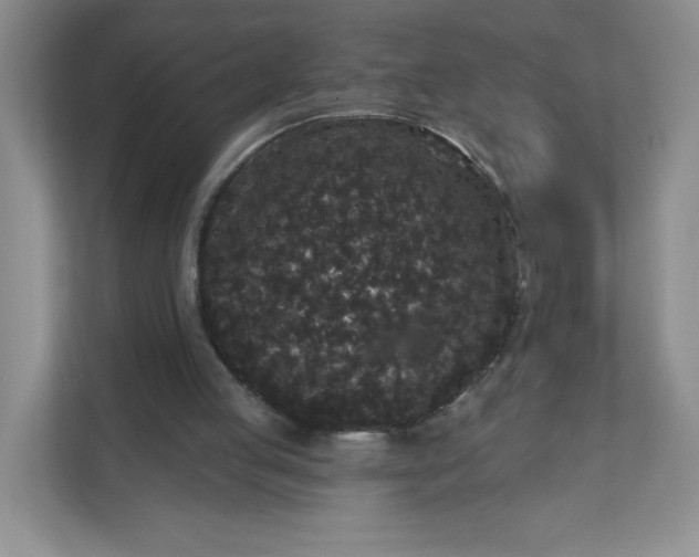 X0000111590053200907301434