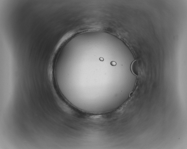 X0000111590054200907301434