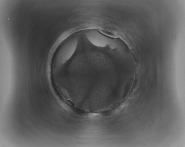 X0000111590055200907301434